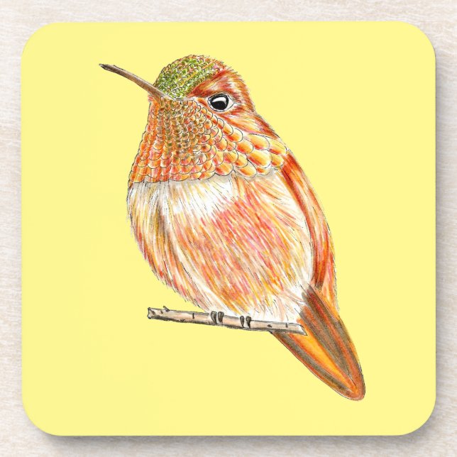 Roufus Hummingbird Perched Orange Illustration Getränkeuntersetzer (Vorderseite)
