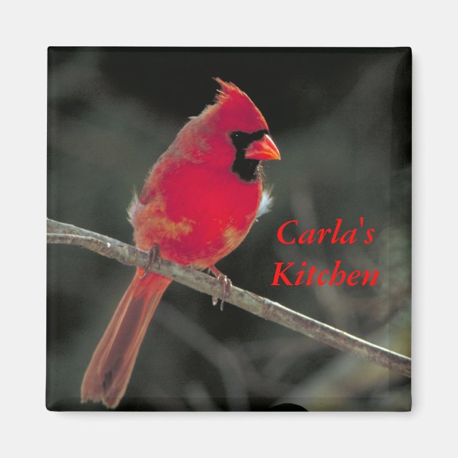 Rouge Cardinal Magnet (Devant)