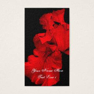 Rouge Hot Iris Flower Art