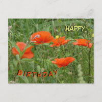Rouge Poppies Fleurs sauvages Bonne Carte postale 