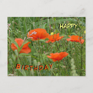 Rouge Poppies Fleurs sauvages Bonne Carte postale 