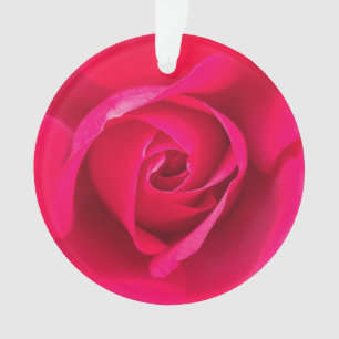 Rouge romantique Rose rose v2
