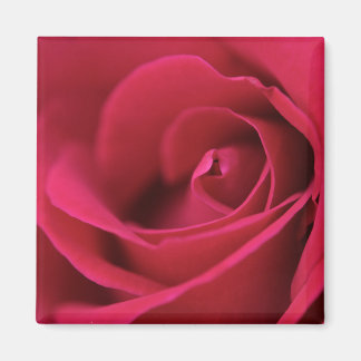 Rouge Rose Magnet