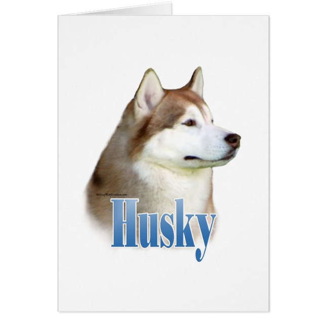 Rouge Sibérien Husky Nom (Devant)