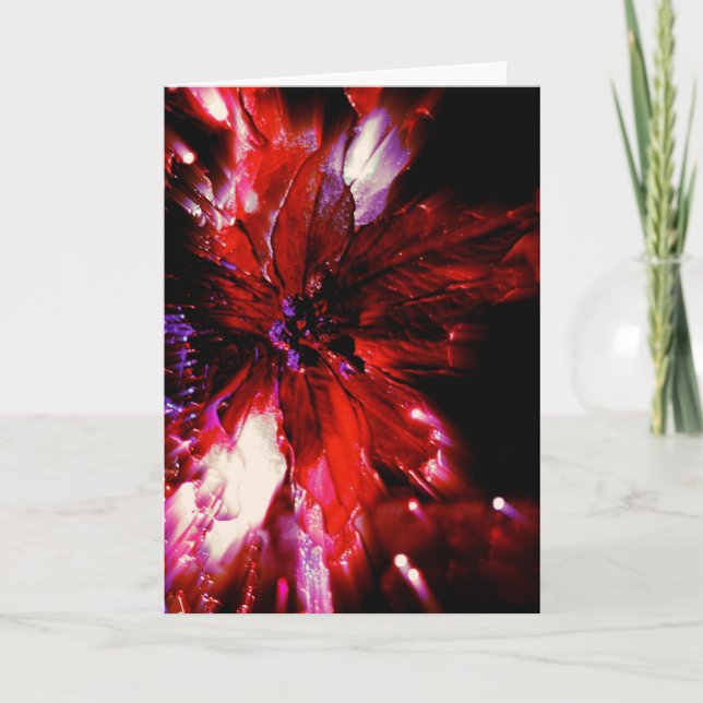 rouge unique sur la carte noire de Noël (Devant)