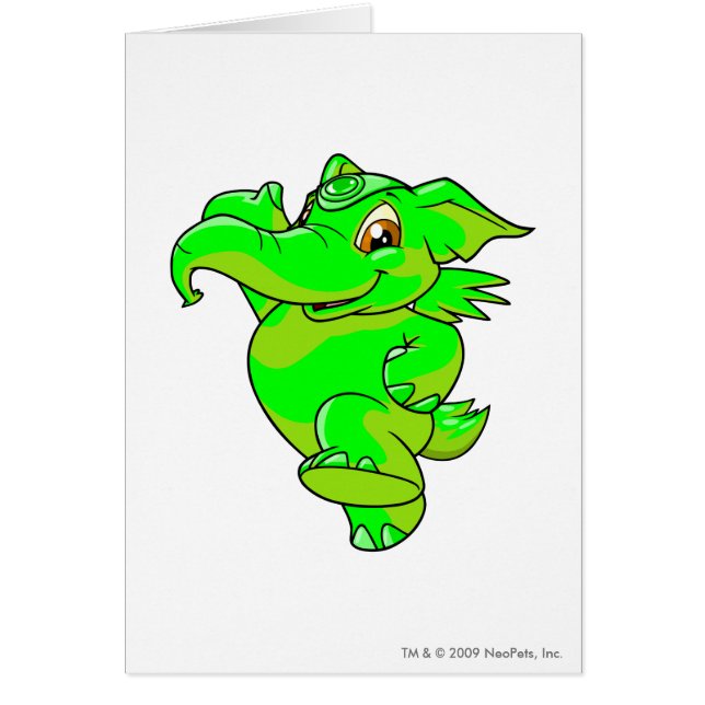 Rougeoyer d'Elephante (Devant)