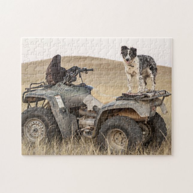 Rough and Tumble ATV Dog Foto (Horizontal)