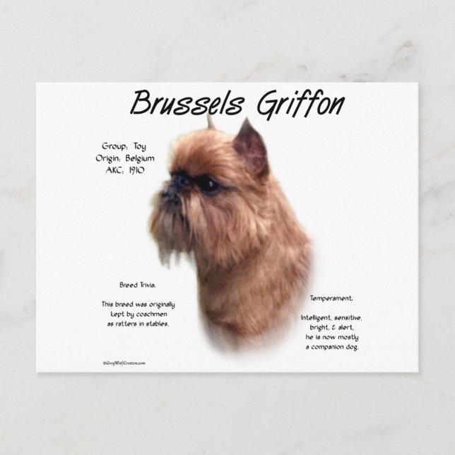 Rough Brussels Griffon History Postkarte (Vorderseite)