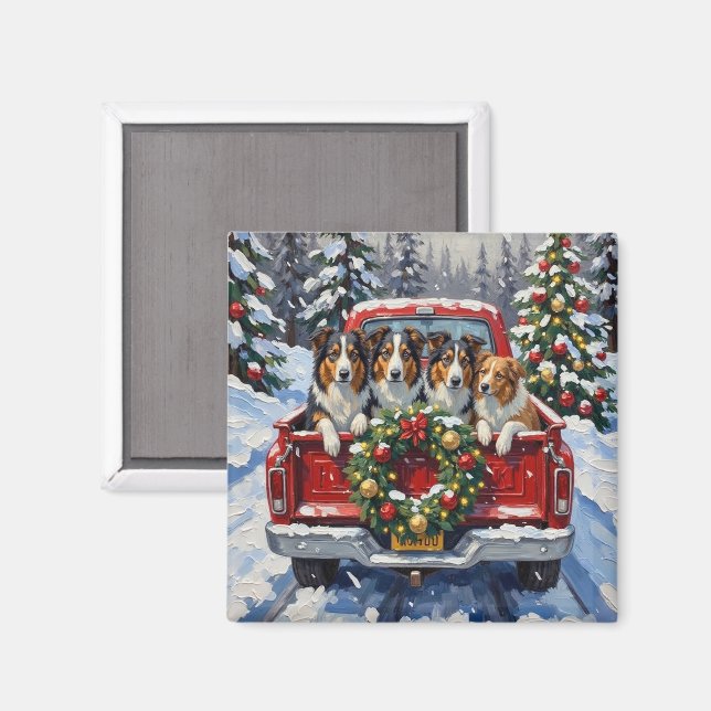 Rough Collie Christmas Red Truck Holiday Magnet (Vorderseite/Rückseite)