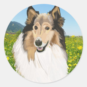 Rough Collie, Collie-Portrait, lang haarig Runder Aufkleber