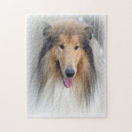 Rough Collie Dog