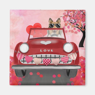 Rough Collie Dog Car mit Herzvalentiner Magnet