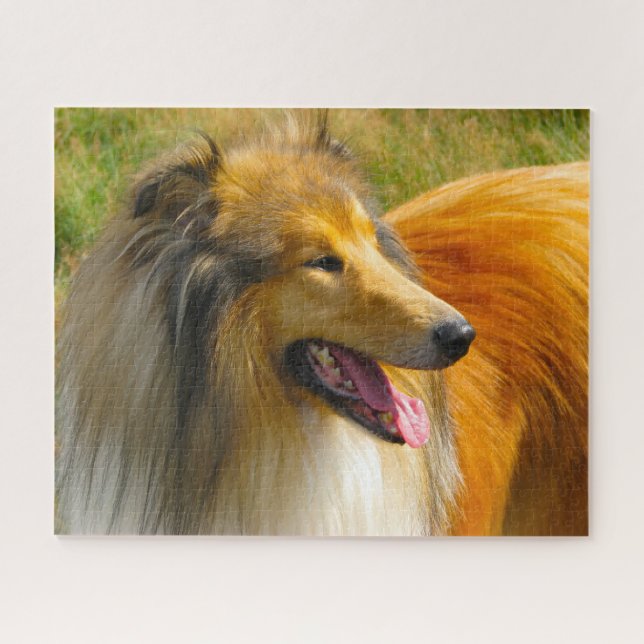Rough Collie Dog Jigsaws. (Horizontal)
