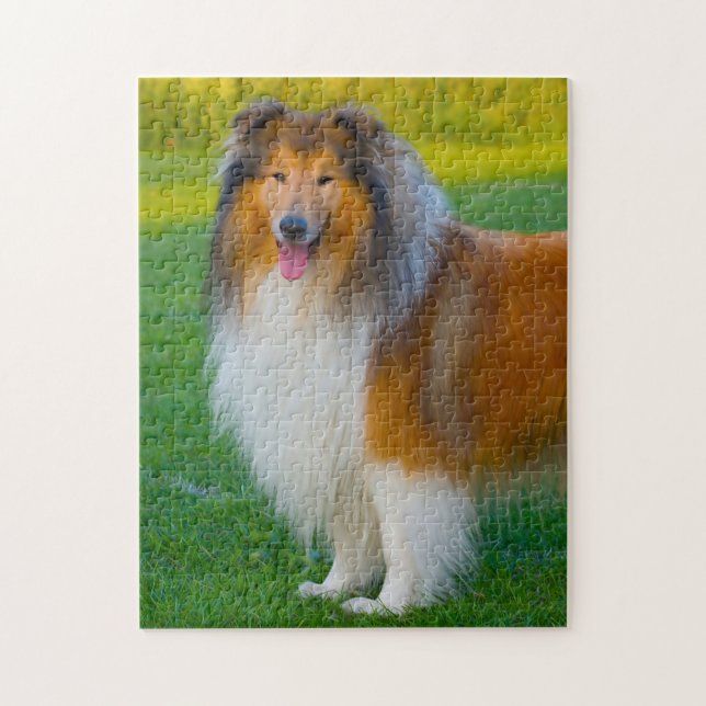 Rough Collie Dog Jigsaws. (Vertikal)