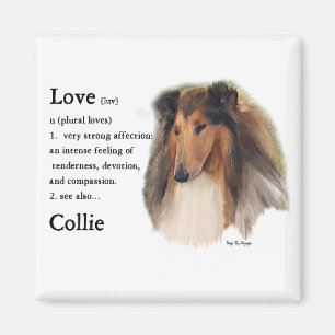 Rough Collie Gifts Magnet