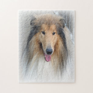 Rough Collie Hund