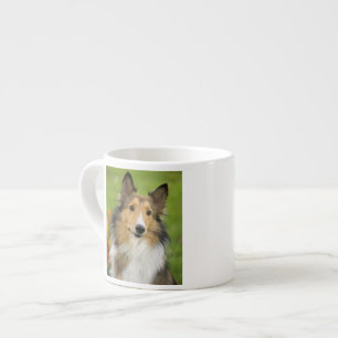 Rough Collie, Hund Espressotasse