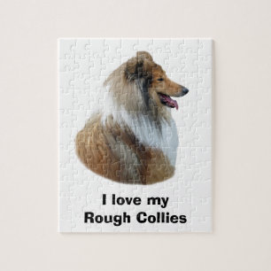 Rough Collie Hundeportrait Foto