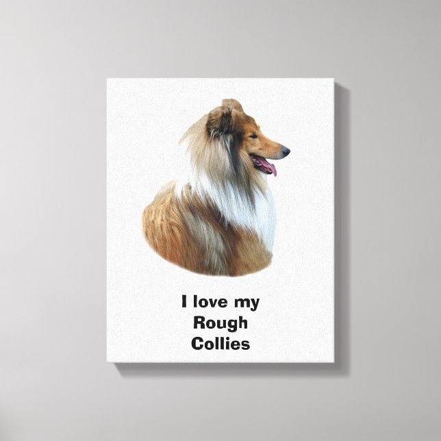 Rough Collie Hundeportrait Foto Leinwanddruck (Vorderseite)