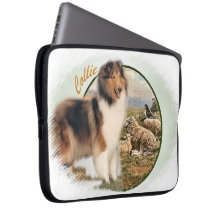 Rough Collie Keeper vom Schafe