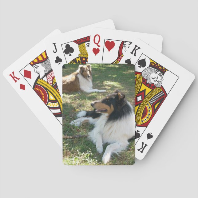 Rough Collieses Bicycle Playing Cards Spielkarten (Rückseite)