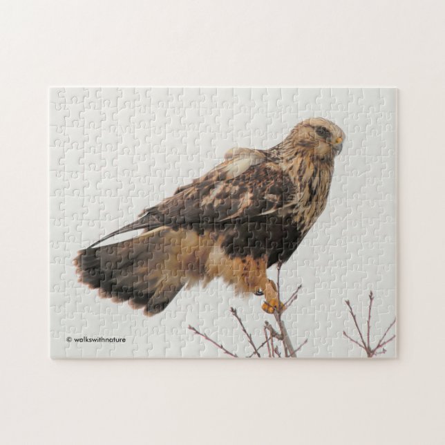 Rough-Legged Hawk im Baum (Horizontal)