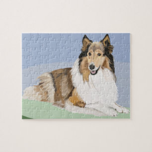 Rough, Long Hair Collie