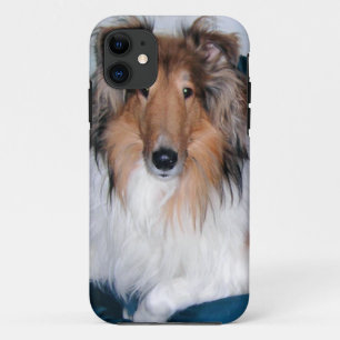 Rough Sable Collie iPhone 5 Fall title_seo2