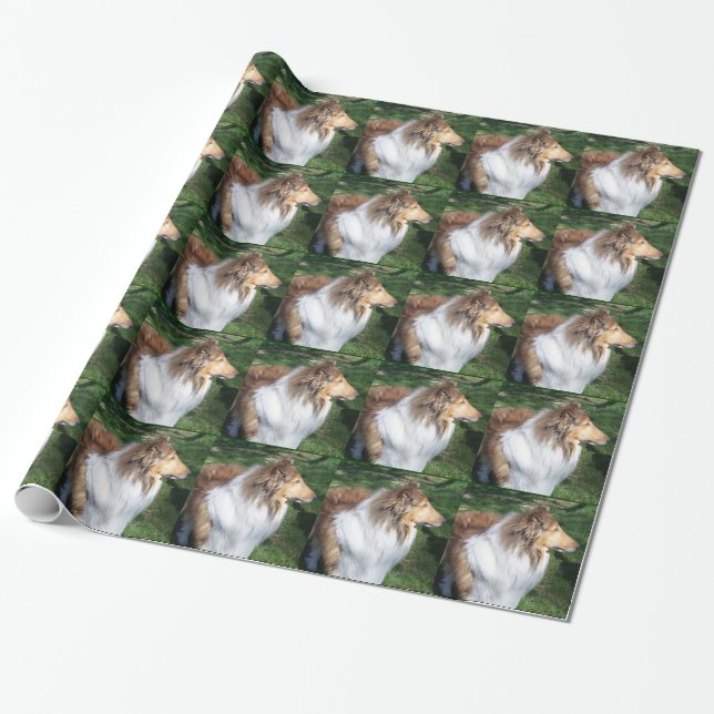 Rough Sable Collie Wrapping Paper Geschenkpapier (Ungerollt)