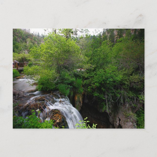 Roughlock Falls, South Dakota Postkarte (Vorderseite)