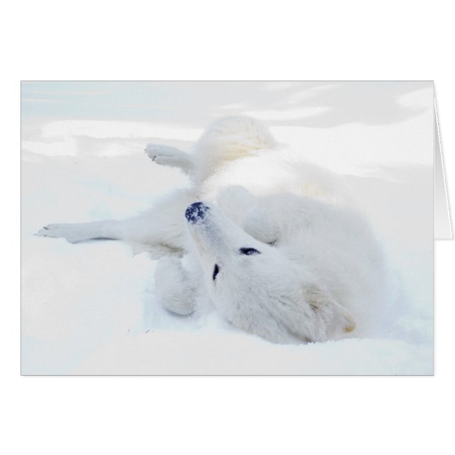 Roulement dans la neige (Devant horizontal)