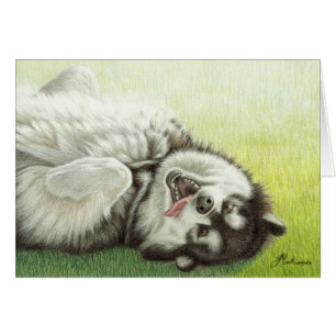 Roulement de Malamute d'Alaska