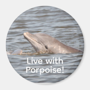 Round Dolphin Magnet