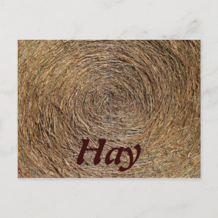 Round Hay Bale Postkarte