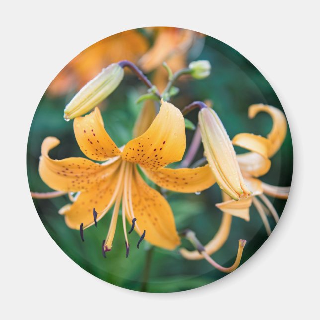 Round Magnet (Vorne)