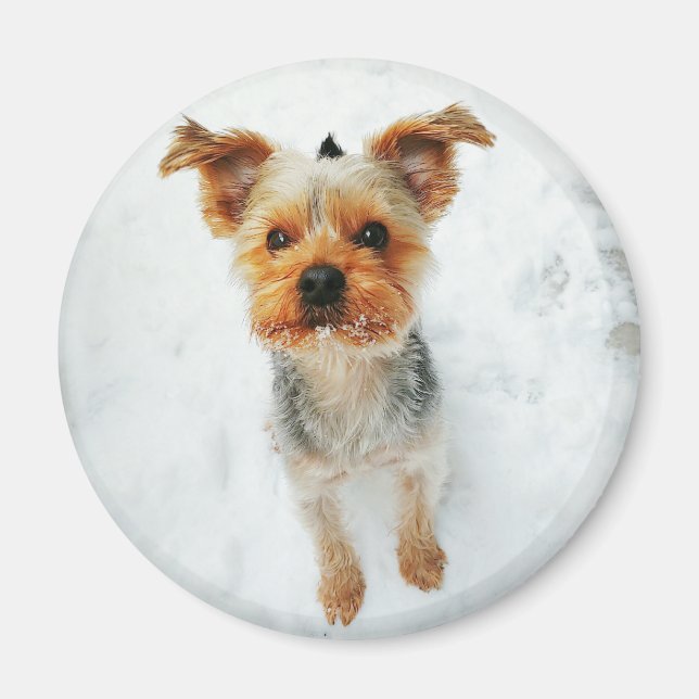 Round Magnet (Vorne)