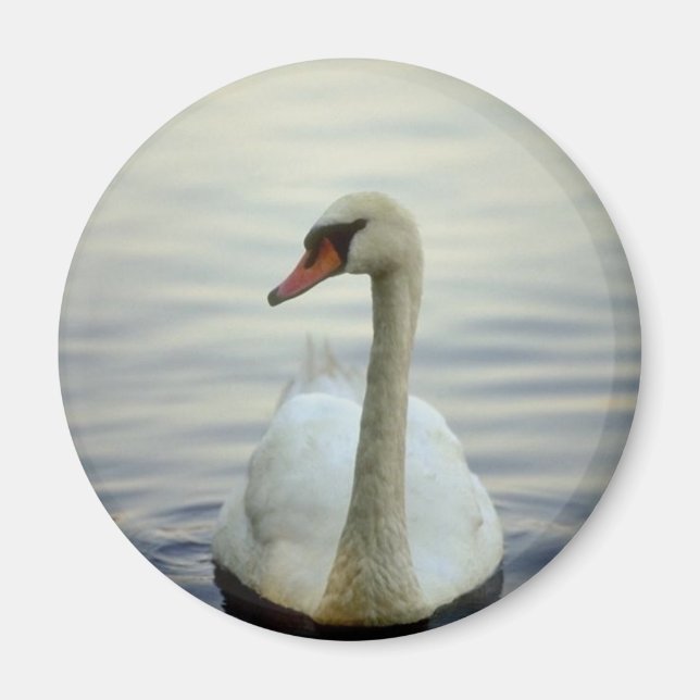 Round Magnet (Vorne)