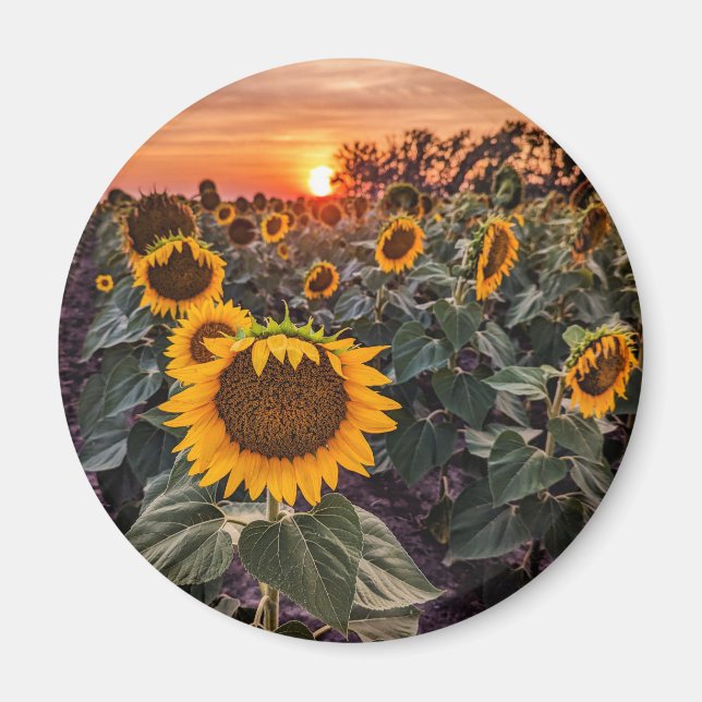 Round Magnet (Vorne)