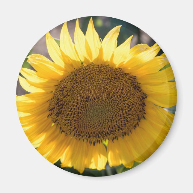 Round Magnet (Vorne)