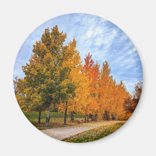 Round Magnet