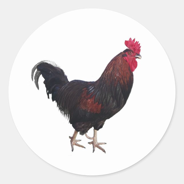 Round Rooster Stickers (Vorderseite)