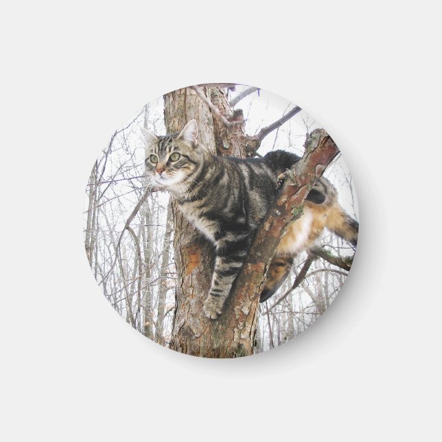 Round Tabby Cat Magnet (Vorne)
