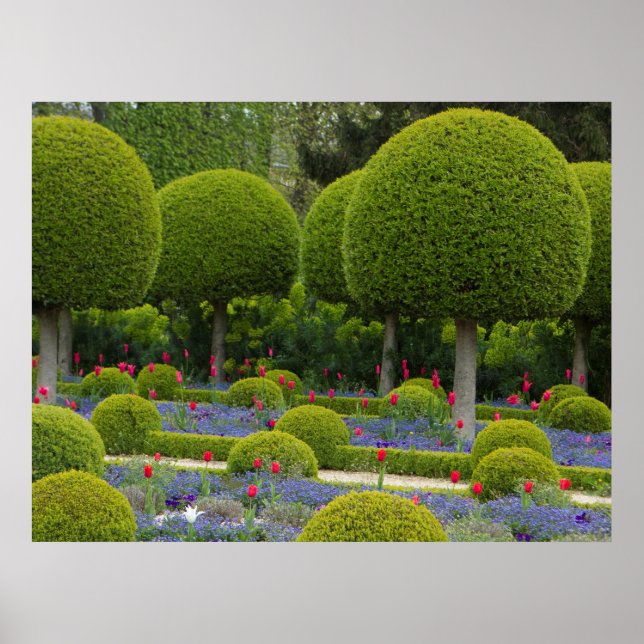 Round Trees Poster (Vorne)