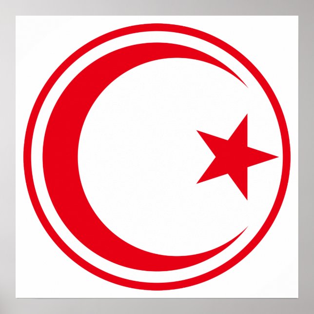 Roundel der tunesischen Luftwaffe Poster (Vorne)