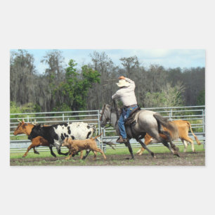 Roundup - Ranch Sticker