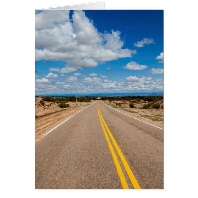 Route 40 Argentine (Devant)