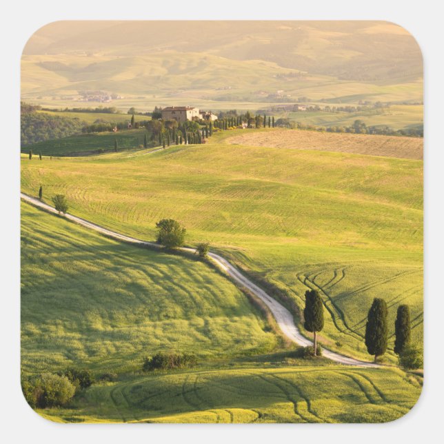 Route blanche dans le paysage toscan sticker (Devant)