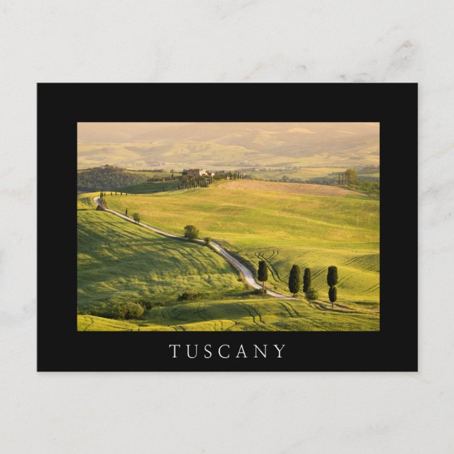 Route blanche en Toscane paysage carte postale noi (Devant)