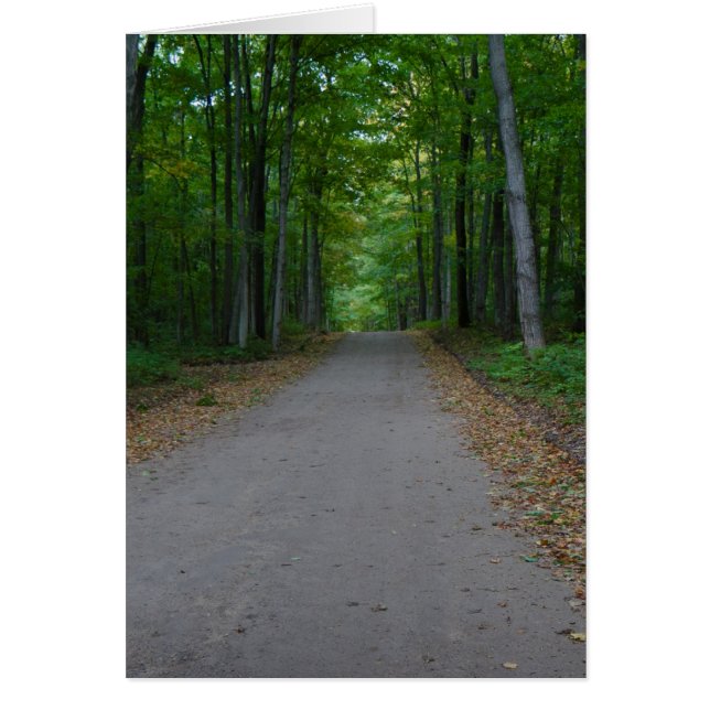 Route dans les bois. (Devant)