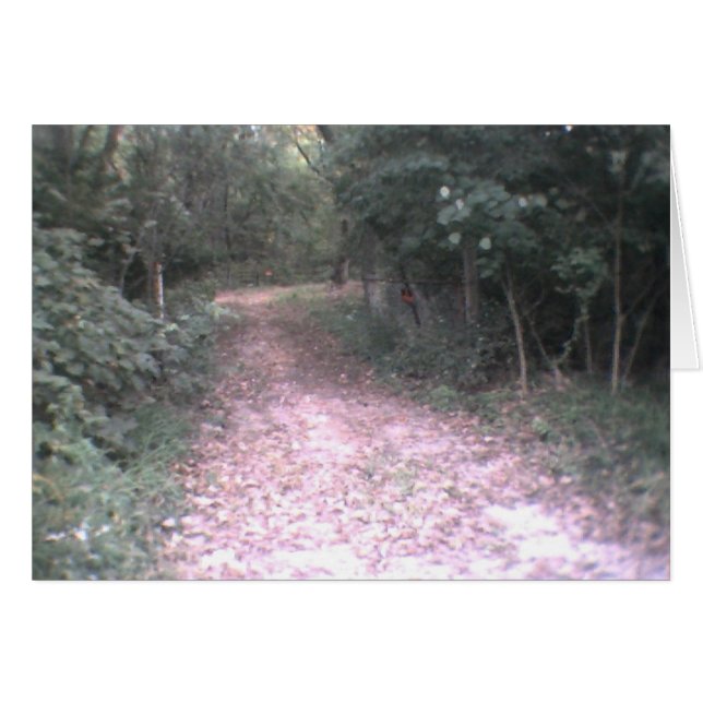 route de la vie (Devant horizontal)